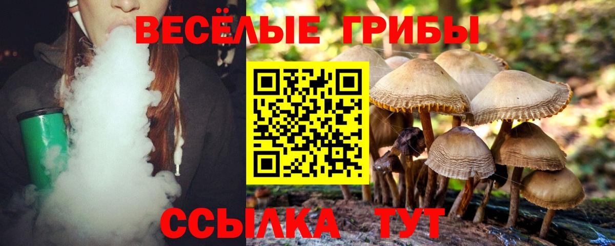 Галлюциногенные грибы прущие грибы Волжск
